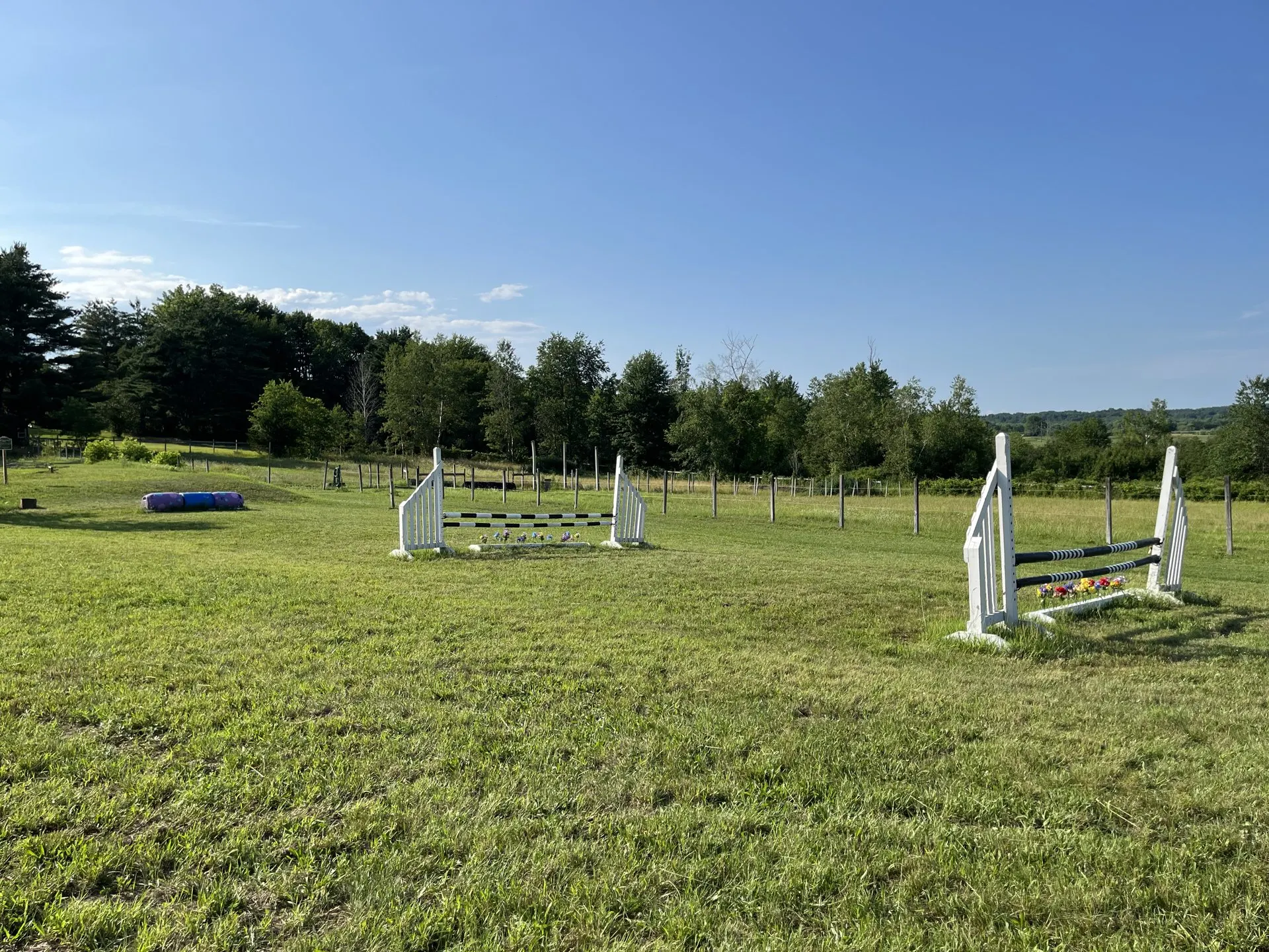 Open grass field with white jump standards set for schooling