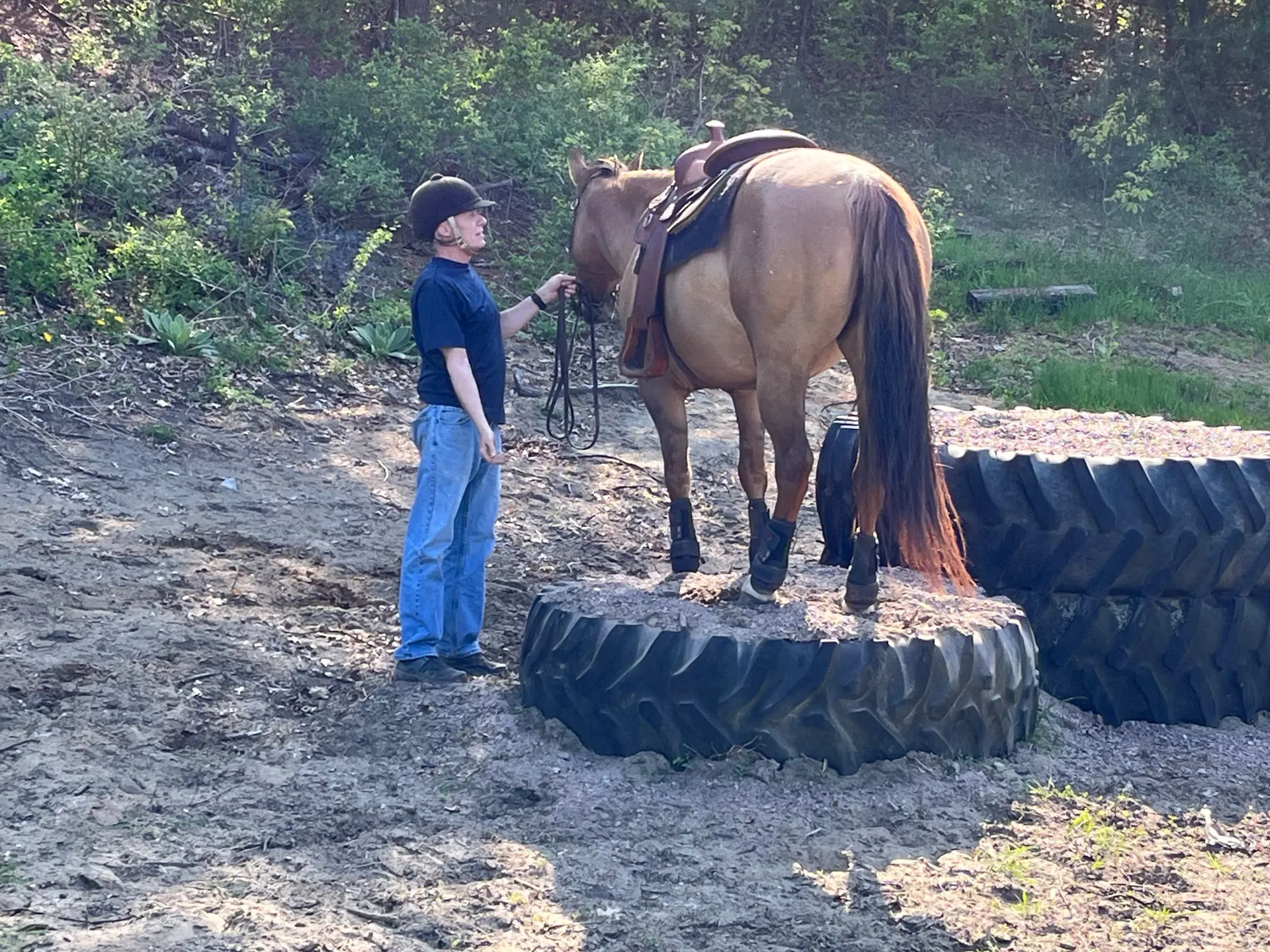 A handler working a saddled horse over a tractor-tire obstacle