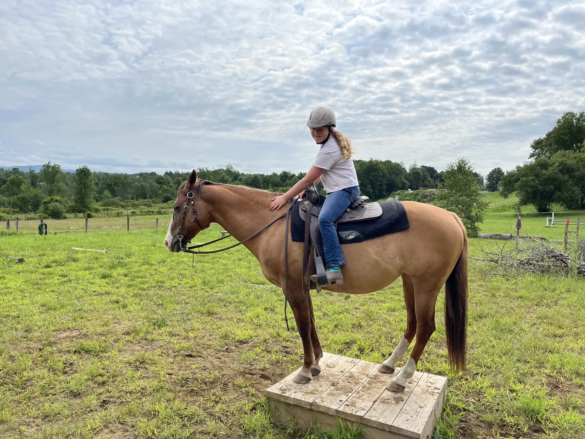 A young rider on a buckskin horse standing on a wooden training box in the field